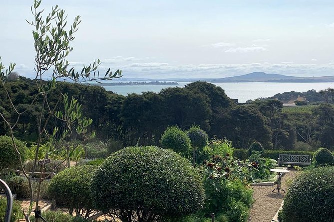 Waiheke Island Vineyards and Bush Walk - Who will enjoy this Waiheke day most?