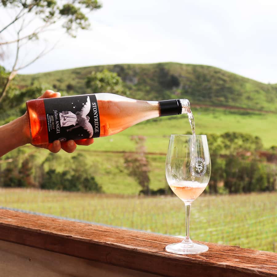 Waiheke Island: Wine Tour & Lunch at Award Winning Venue - Key points at a glance
