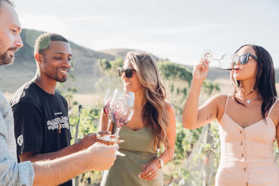 Waiheke Island: Wine Tour & Lunch at Award Winning Venue - Why this Waiheke wine tour works