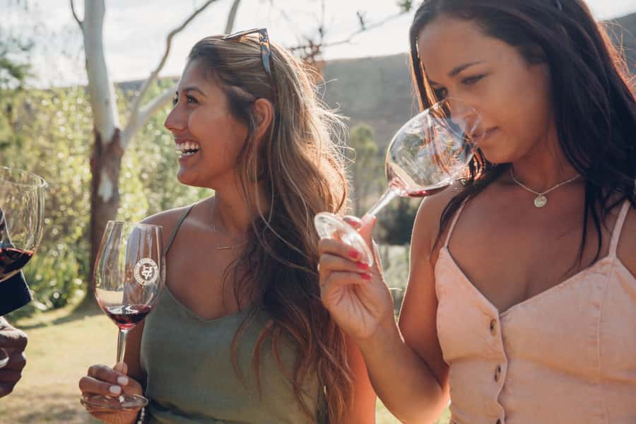 Waiheke Island: Wine Tour & Lunch at Award Winning Venue - Three vineyards, three chances to taste Waiheke