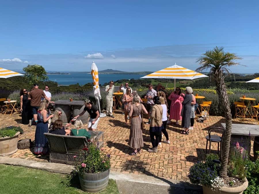 Waiheke Island: Wine Tour & Lunch at Award Winning Venue - Is the tour accessible and suitable for you?