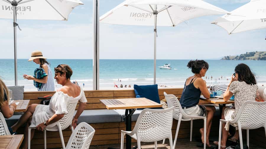 Waiheke Island: Wine Tour & Lunch at Award Winning Venue - Practical tips for getting more from the day
