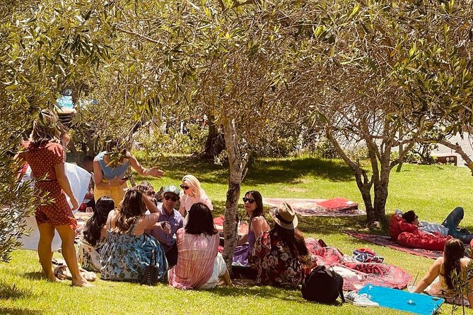 Waiheke Island Wine Tour with Tastings & Gourmet Beachfront Lunch - Why this Waiheke wine tour works so well