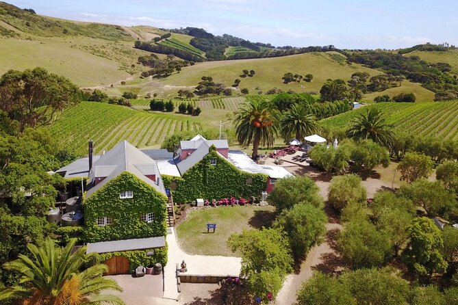 Waiheke Island Wine Tour with Tastings & Gourmet Beachfront Lunch - The final tasting and sea views toward Auckland