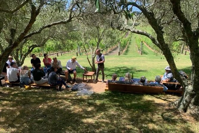 Waiheke Island Wine Tour with Tastings & Gourmet Beachfront Lunch - What the guides add to the drive