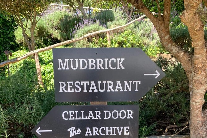 Waiheke Island Wine Tour with Tastings & Gourmet Beachfront Lunch - Wine styles, pace, and who will enjoy it