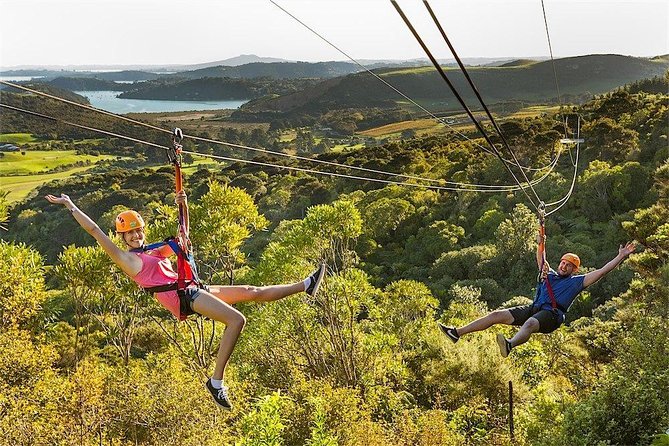 Waiheke Island: Zipline And Forest Walk - The forest walk is more than a way back