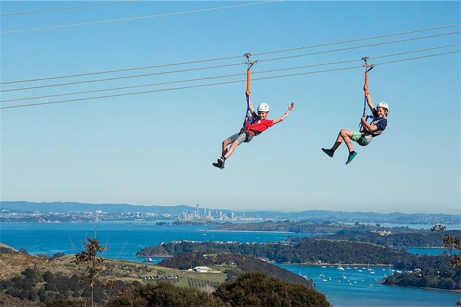 Waiheke Island: Zipline And Forest Walk - How the three-hour timing works
