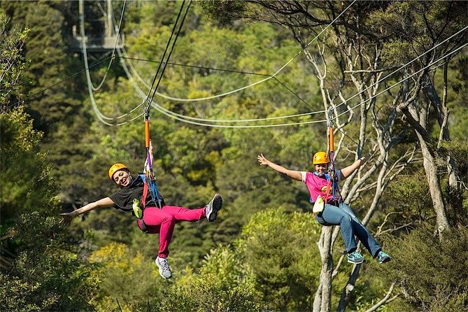 Waiheke Island: Zipline And Forest Walk - Is $92.47 a fair price?