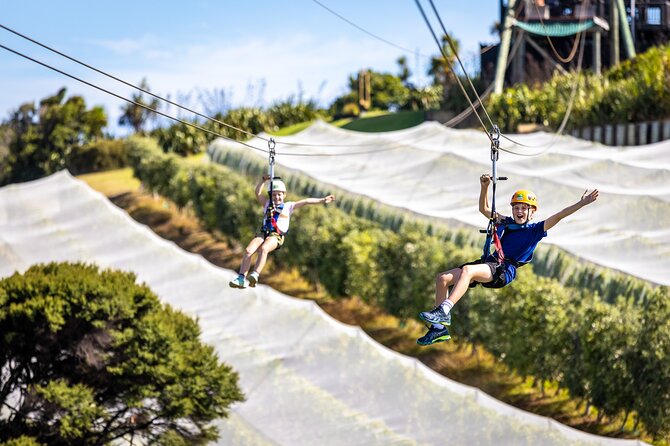 Waiheke Island: Zipline And Forest Walk - Cancellation and ferry planning