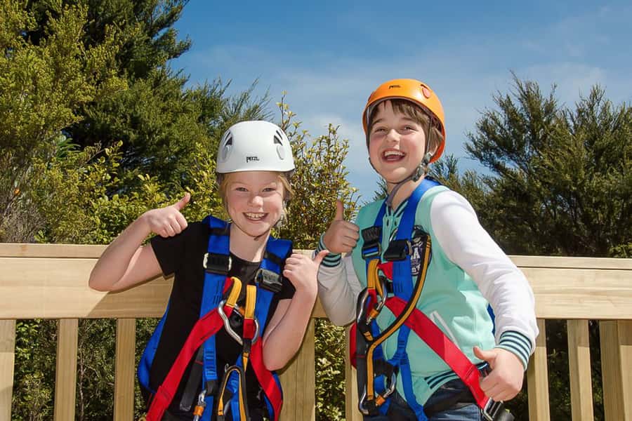 Waiheke Island: Zipline and Native Forest Adventure Trip - Three ziplines above bush and vineyard