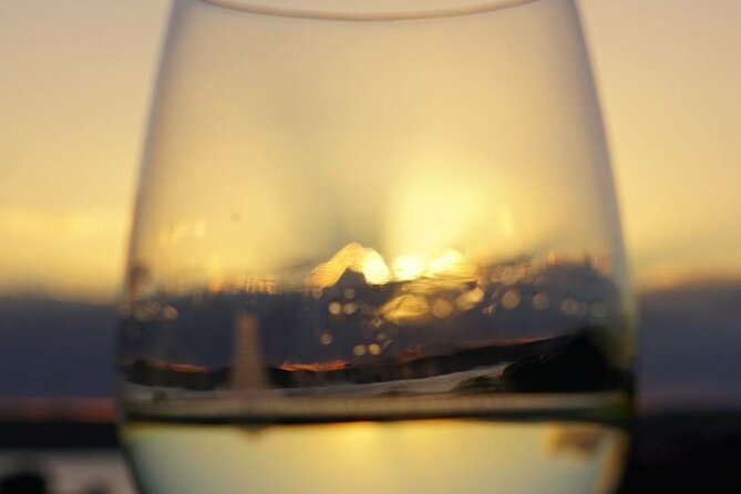 WAIHEKE ZEITGEIST Small Groups Ultra Boutique Off Grid Wine Tours - What the tastings are like