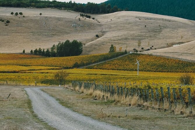 Waipara Valley Winery Tour Wine Tastings and Scenic Views - Why Waipara works as a Christchurch wine day