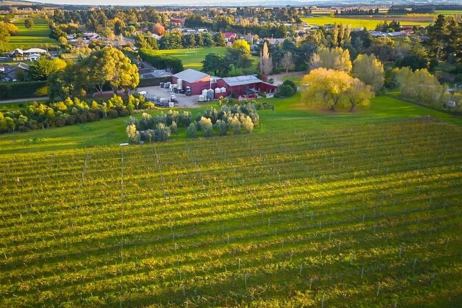Waipara Valley Winery Tour Wine Tastings and Scenic Views - The ride and timing make the day easy