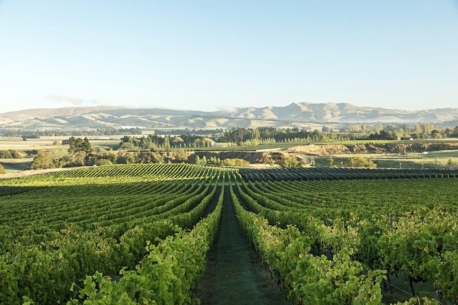 Waipara Wine Experience for 2 or more, inc tastings and lunch - Pegasus Bay: gardens, tastings, and an unexpected eel stop