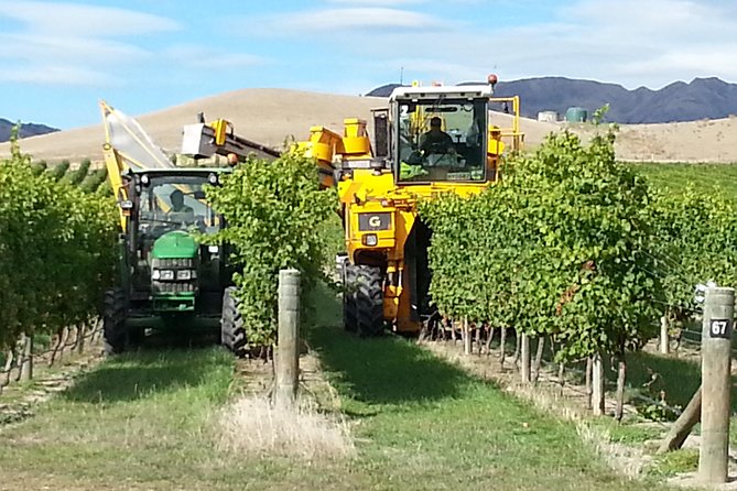 Waipara Wine Tour from Christchurch - including Lunch & Tastings - What the three-winery format feels like