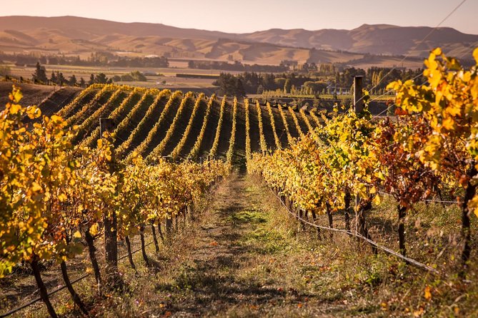 Waipara Wine Tour from Christchurch - including Lunch & Tastings - Waipara Springs and the included platter lunch