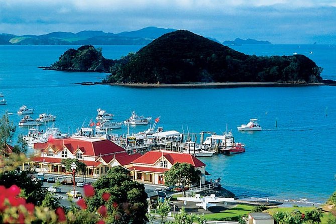 Waitangi Treaty Ground Day Trip Private Transport From Auckland - Key Points at a Glance