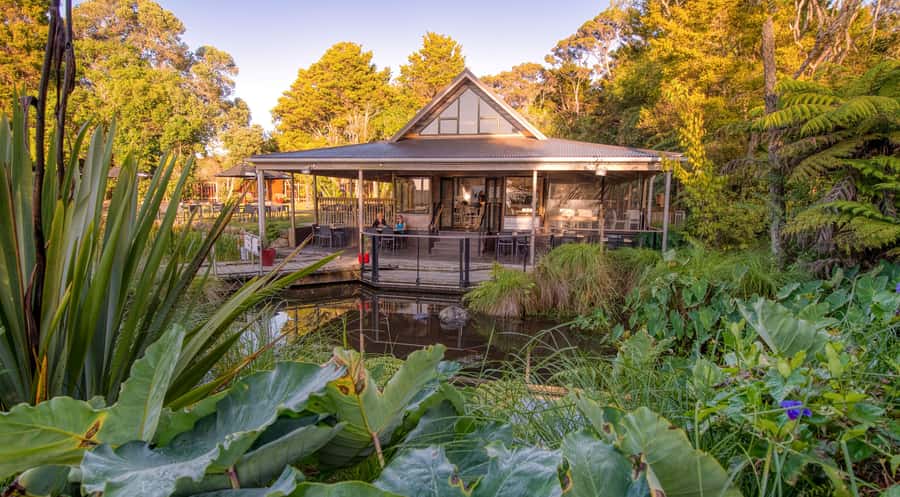 Waitangi Treaty Grounds: 2-Day Pass - The 30-minute Māori cultural performance