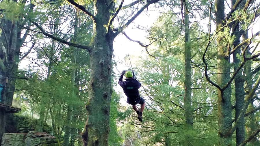 Waitomo Caves 1-Kilometer-Long Zipline Tour - Short lines first, then more height