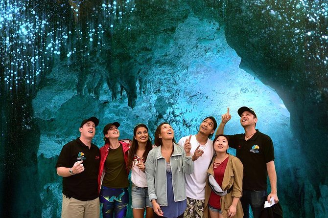 Waitomo Caves & Hobbiton Small Group Tour inc Lunch from Auckland - Hobbiton’s 12-acre movie set