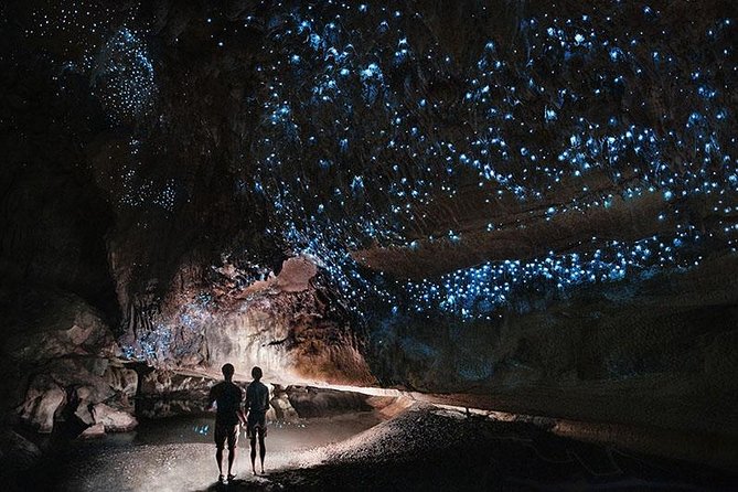 Waitomo Caves Private Tour from Auckland - Why Waitomo’s glowworms are worth the long day