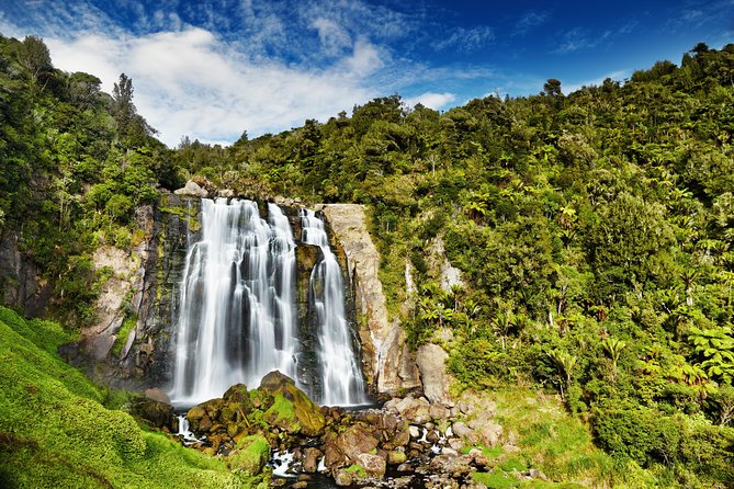 Waitomo Caves Private Tour from Auckland - Who will get the most from this experience