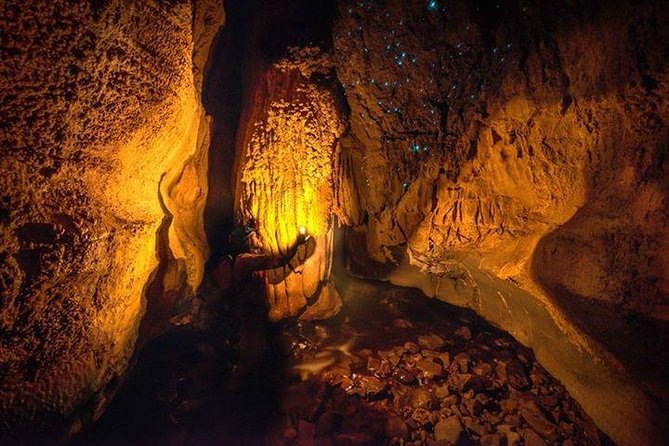Waitomo Caves Private Tour from Auckland - The boat beneath the Glowworm Grotto
