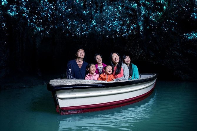 Waitomo Caves & Rotorua - Te Puia Small-Group Tour from Auckland - Price, comfort, and overall value