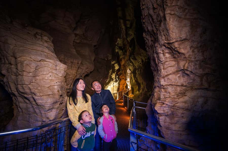 Waitomo Caves: Ruakuri Cave 1.5 Hour Guided Tour - Add the free Ruakuri Bush Walk