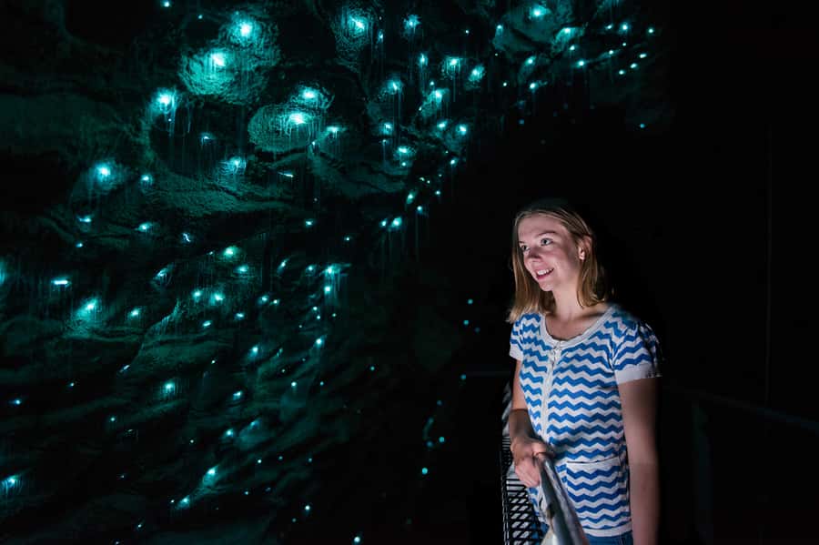 Waitomo Caves: Ruakuri Cave 1.5 Hour Guided Tour - What makes Ruakuri Cave different