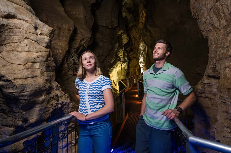 Waitomo Caves: Ruakuri Cave 1.5 Hour Guided Tour - Holdens Cavern and the cave’s human story