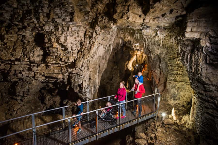 Waitomo Caves: Ruakuri Cave 1.5 Hour Guided Tour - Glowworms, with realistic expectations