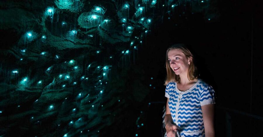 Waitomo Caves: Ruakuri Cave 1.5 Hour Guided Tour - Water, sound, and the Ghost Passage