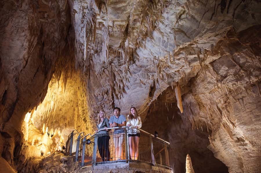 Waitomo Caves: Ruakuri Cave 1.5 Hour Guided Tour - Price, timing, and getting there