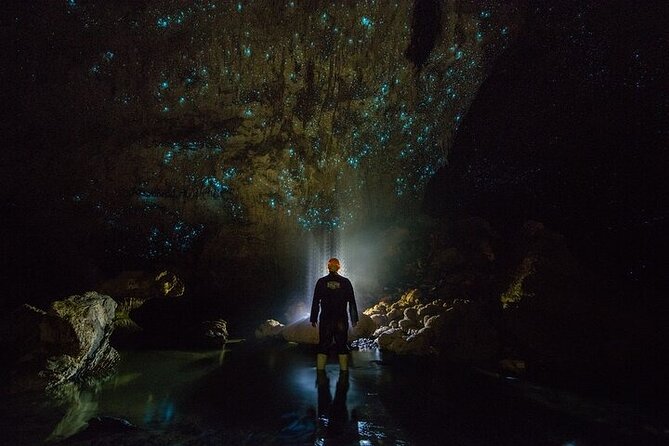 Waitomo Glow Worm Caves - The long road from Auckland to Waitomo