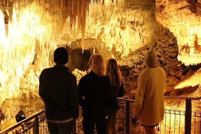 Waitomo Glow Worm Caves - Should you book the Waitomo Glow Worm Caves tour?