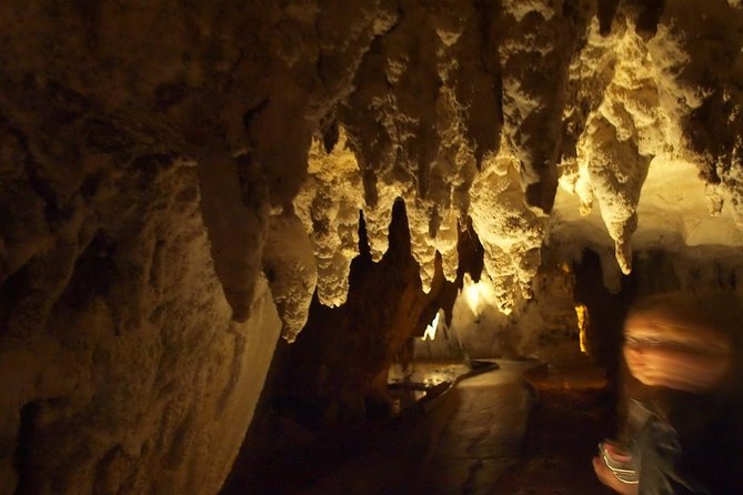 Waitomo Glowworm Caves In a Private Small Group Tour-Auckland. - A private 9:00 am start from Auckland