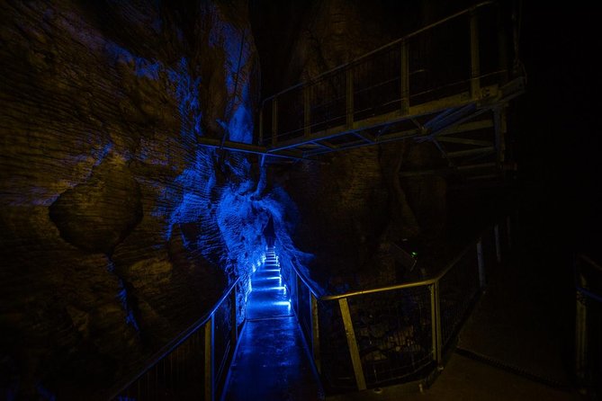 Waitomo Glowworm & Ruakuri Twin Cave Experience - Small Group Tour From Auckland - The Auckland pickup and the long road south