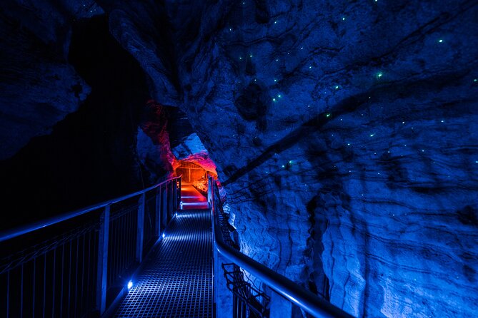Waitomo Glowworm & Ruakuri Twin Cave - Private Tour From Auckland - Why the two-cave plan works so well