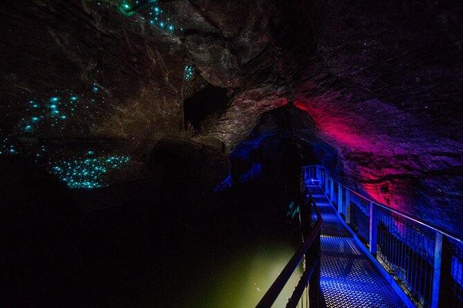 Waitomo Glowworm & Ruakuri Twin Cave - Private Tour From Auckland - Coffee, the Bombay Hills, and the Waikato road