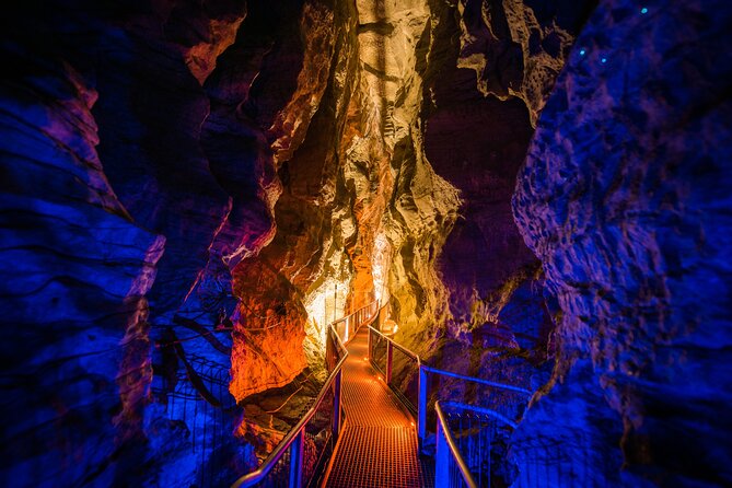 Waitomo Glowworm & Ruakuri Twin Cave - Private Tour From Auckland - What the private format adds