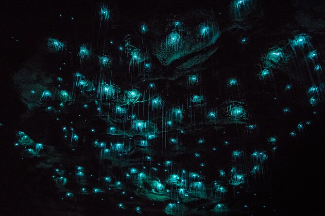 Waitomo Glowworm & Ruakuri Twin Cave Small Group Tour Ex-Auckland - Key points before you book