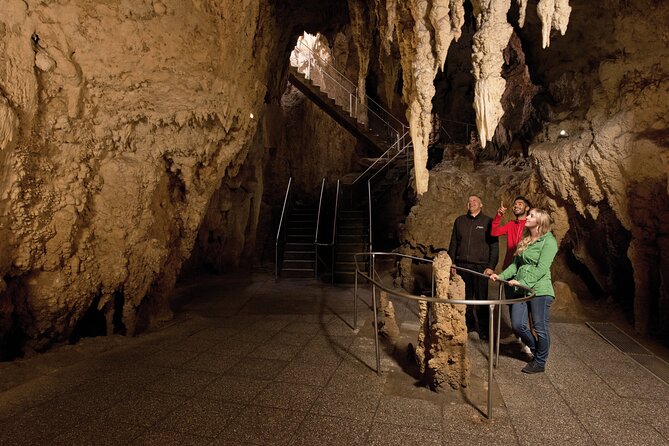 Waitomo Glowworm & Ruakuri Twin Cave Small Group Tour Ex-Auckland - The Waitomo Glowworm Caves and the silent boat