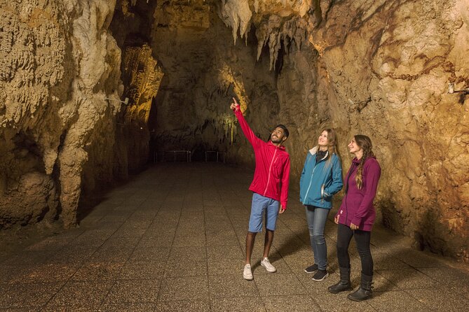 Waitomo Glowworm & Ruakuri Twin Cave Small Group Tour Ex-Auckland - What to wear and carry