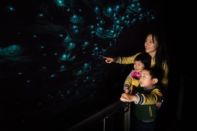 Waitomo Glowworm & Ruakuri Twin Cave Small Group Tour Ex-Auckland - Who should book this tour?