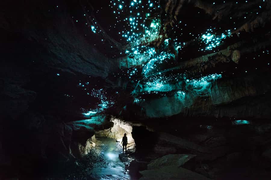 Waitomo: Guided Eco-Cave Tour - Why this Waitomo tour feels different