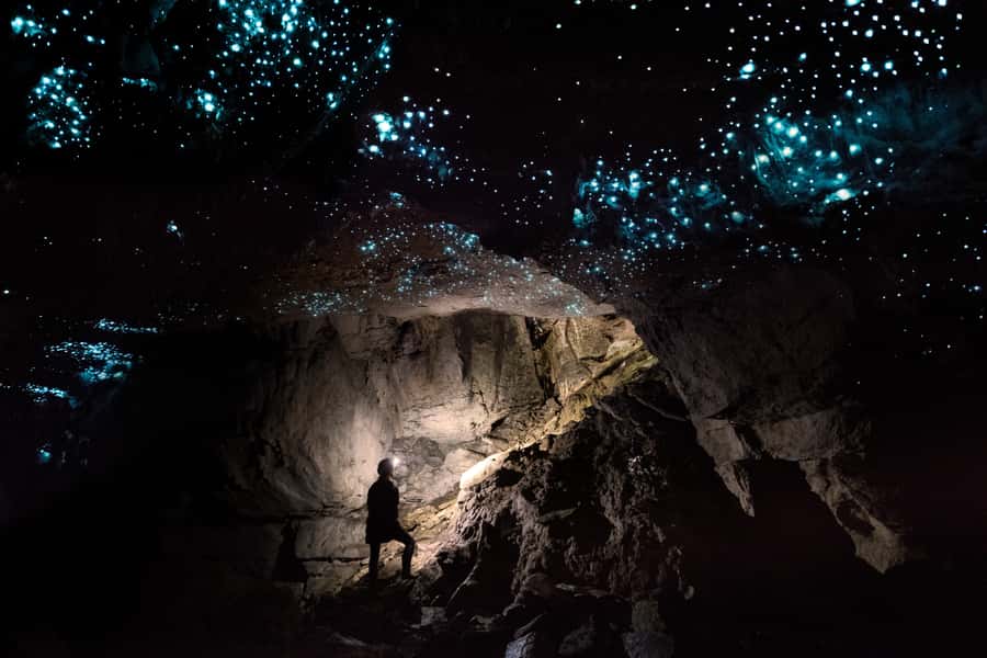 Waitomo: Guided Eco-Cave Tour - The return, shower, and Kiwi hospitality