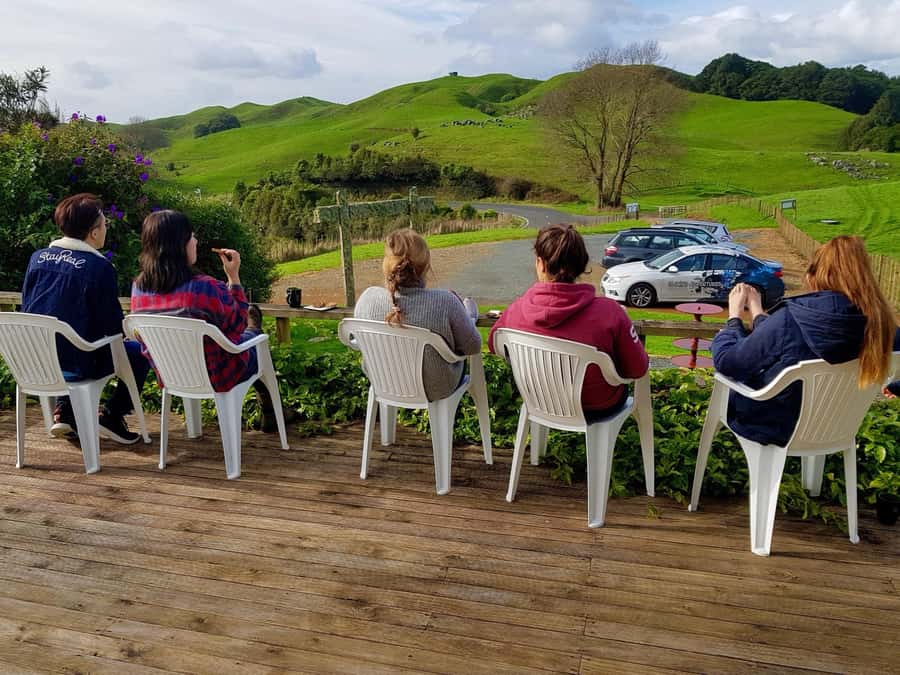 Waitomo: Guided Eco-Cave Tour - Who should book this experience?