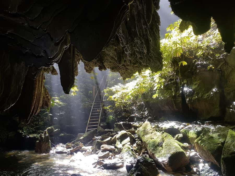 Waitomo: Guided Eco-Cave Tour - From the family farm to the Mangapu gorge